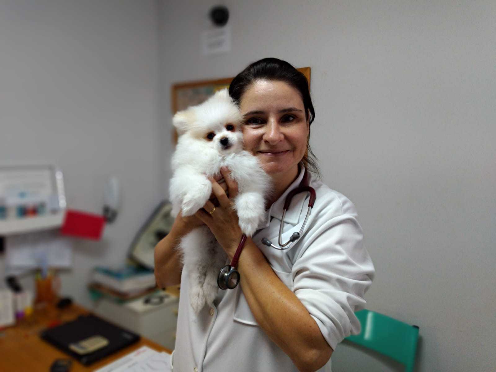 Geriatria Animal Landing Hero Bottom Image