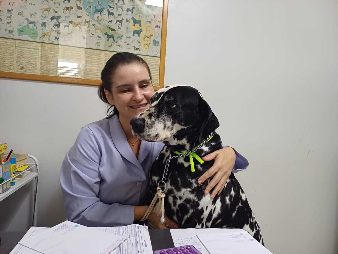 Geriatria Animal Landing Hero Top Image
