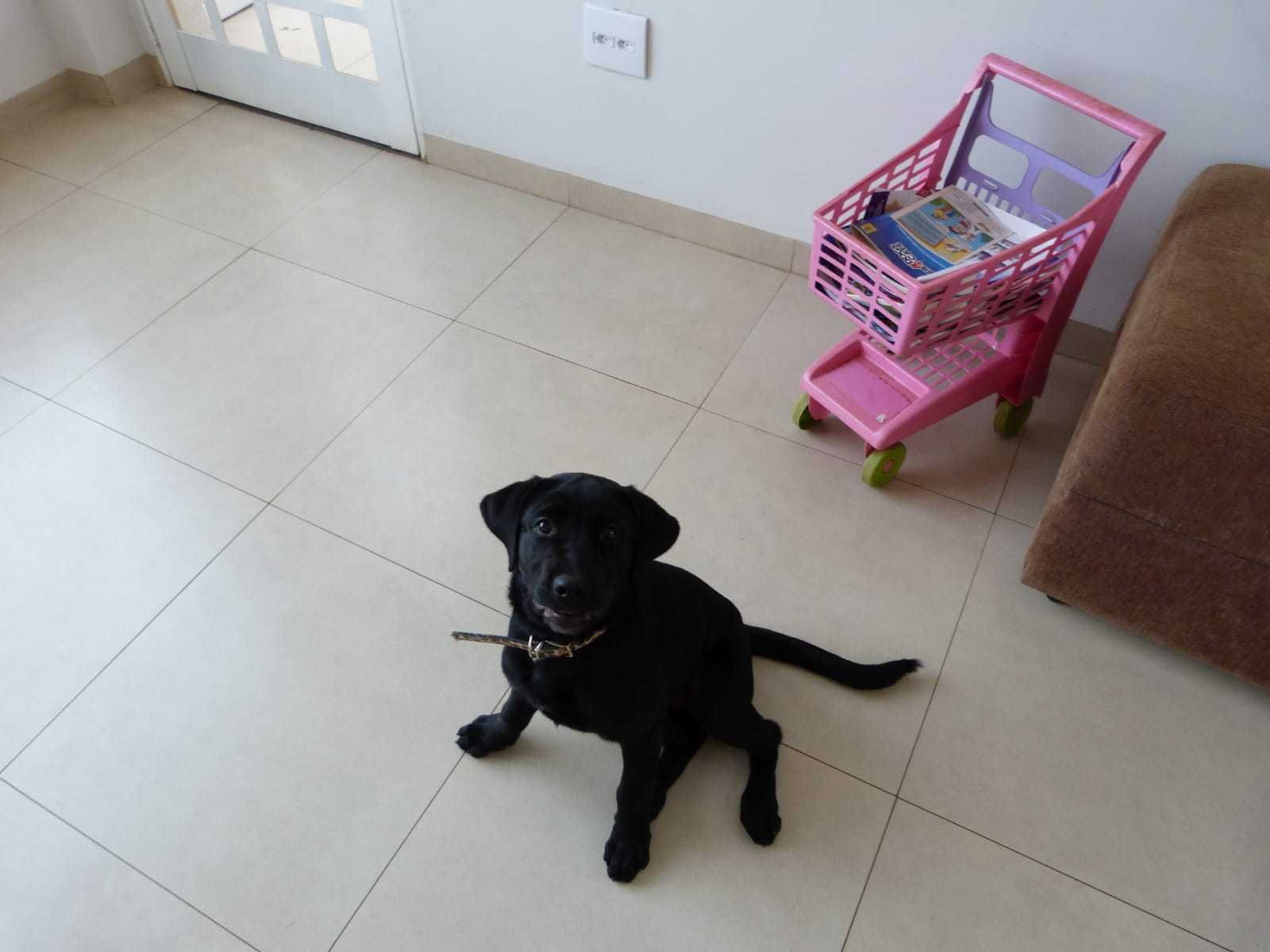 Foto da Galeria