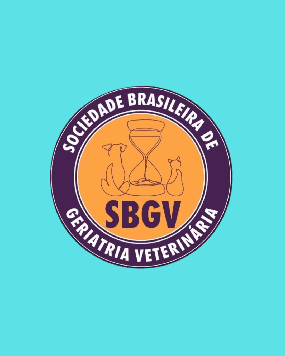 Geriatria Animal Landing Image